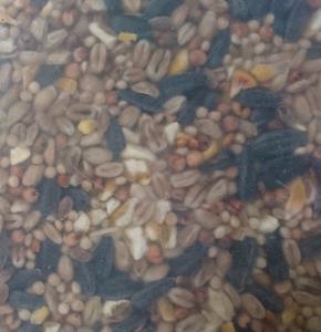 HGK Wild Bird Seed 20kg